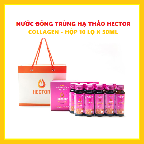 Nước đông trùng hạ thảo Hector collagen