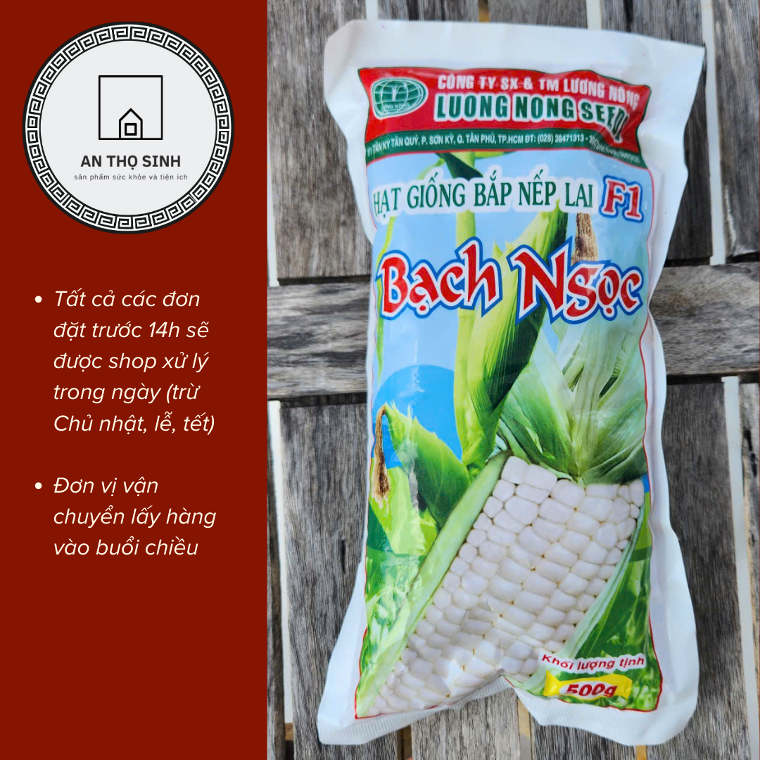 [BỊCH 500G] HẠT GIỐNG BẮP NẾP LAI F1 BẠCH NGỌC – NĂNG SUẤT CAO, VỊ NGỌT DẺO