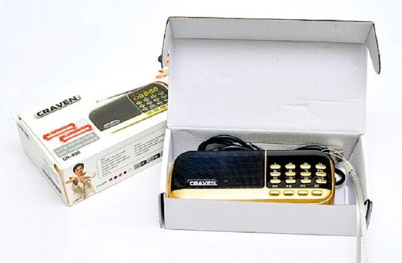Loa nghe nhạc usb thẻ nhớ radio fm craven cr-836 - l craven cr-836