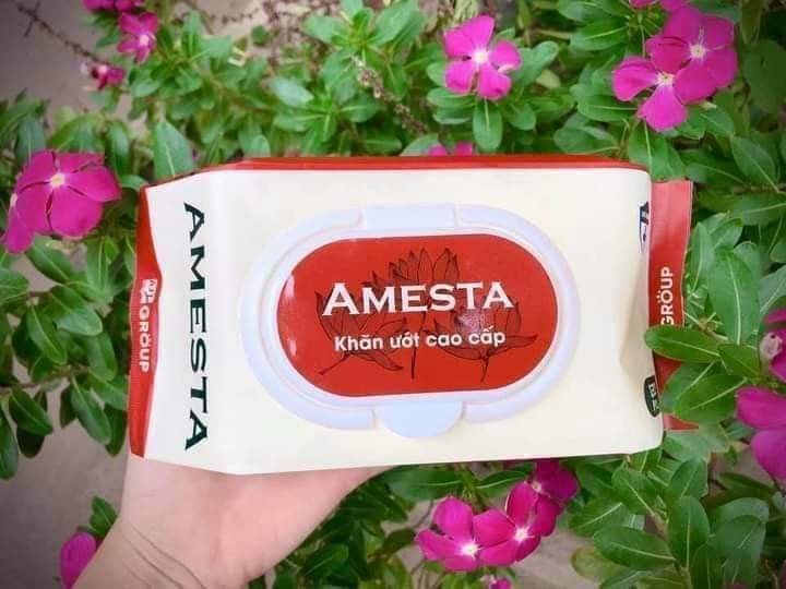 Combo 10 gói khăn ướt cao câp amesta 120 tờ 1 gói