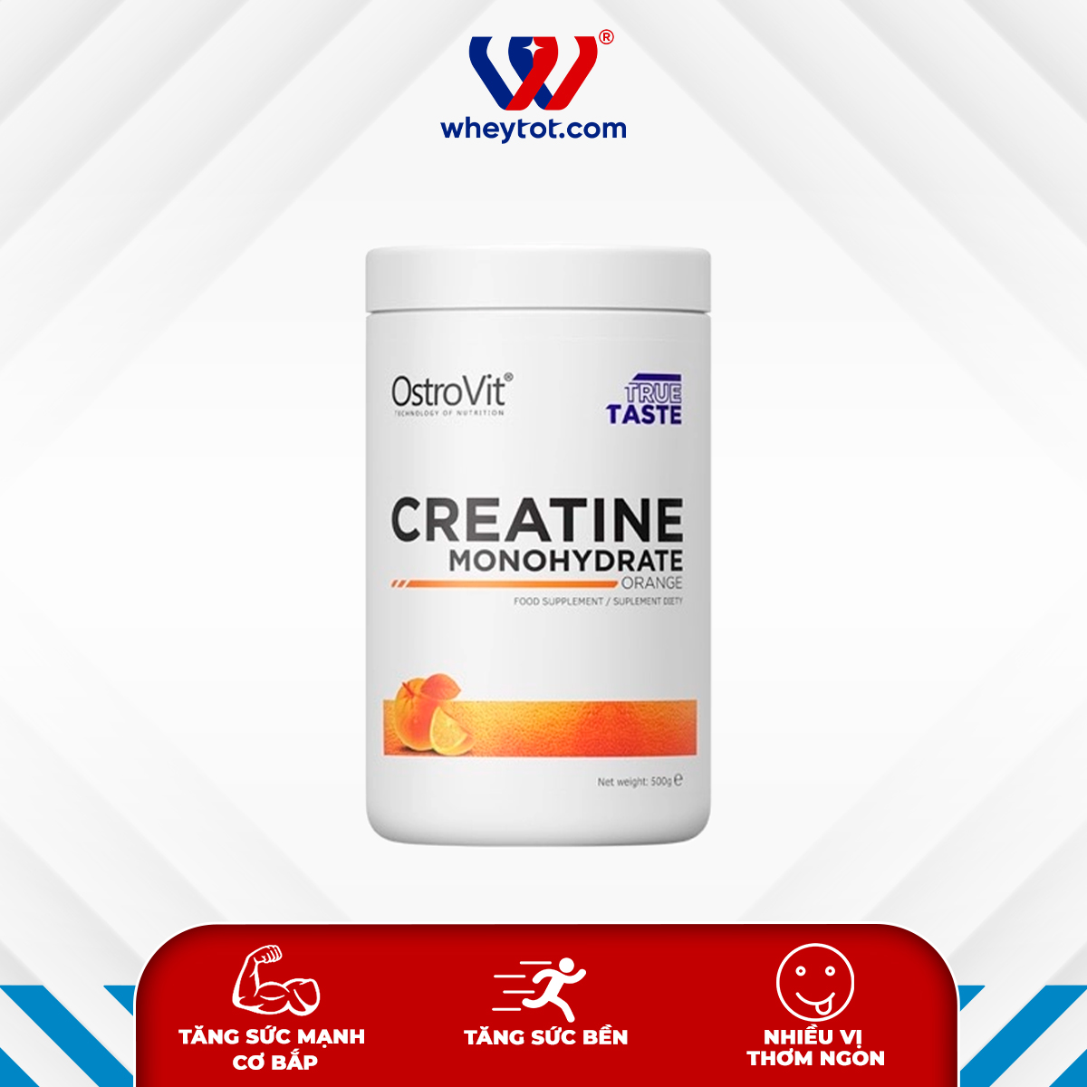 Gia tăng sức mạnh cơ bắp Ostrovit Creatine Monohydrate 500G (100 Servings)