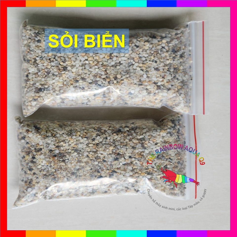 Sỏi biển trang trí hồ cá thủy sinh