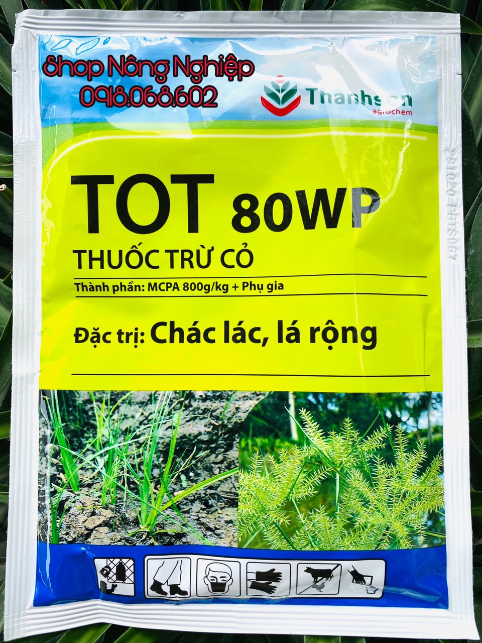 TOT 80WP 25gr sản phẩm chuyên trừ cỏ chác lác, cỏ lá rộng