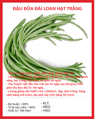 Hạt giống đậu đũa hạt trắng cao sản - Gói 10gram
