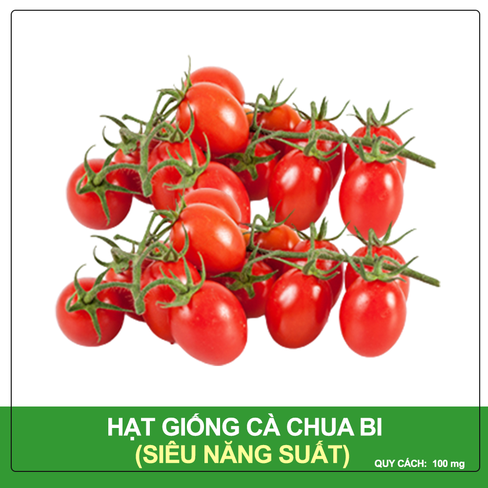 Hạt Giống Cà Chua Bi Phú Nông Gói 0.1 Gram