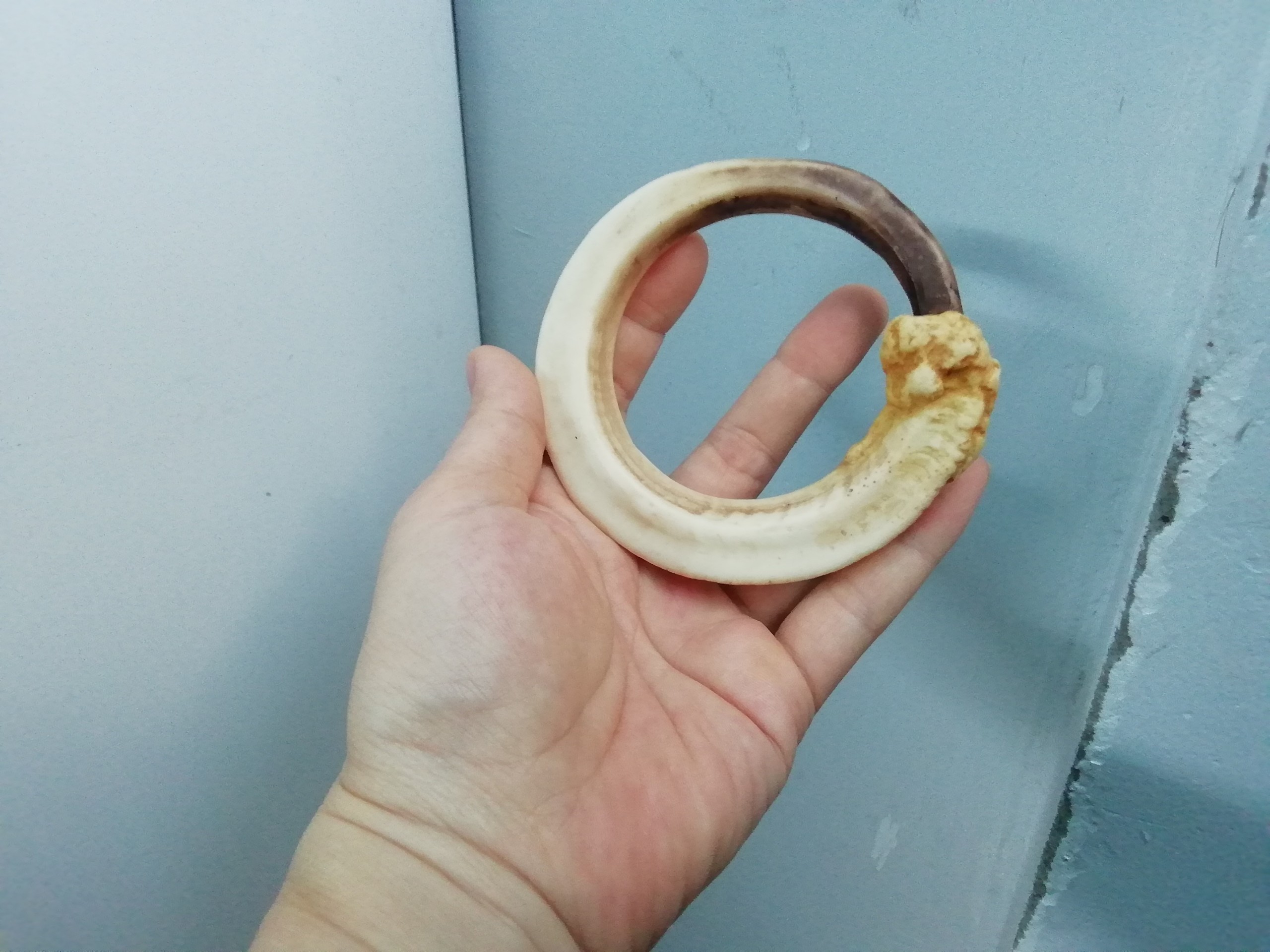 [HCM]NANH SÙI SIZE LỖ 6.2CM MỸ NGHỆ CAO CẤP NHƯ THẬT