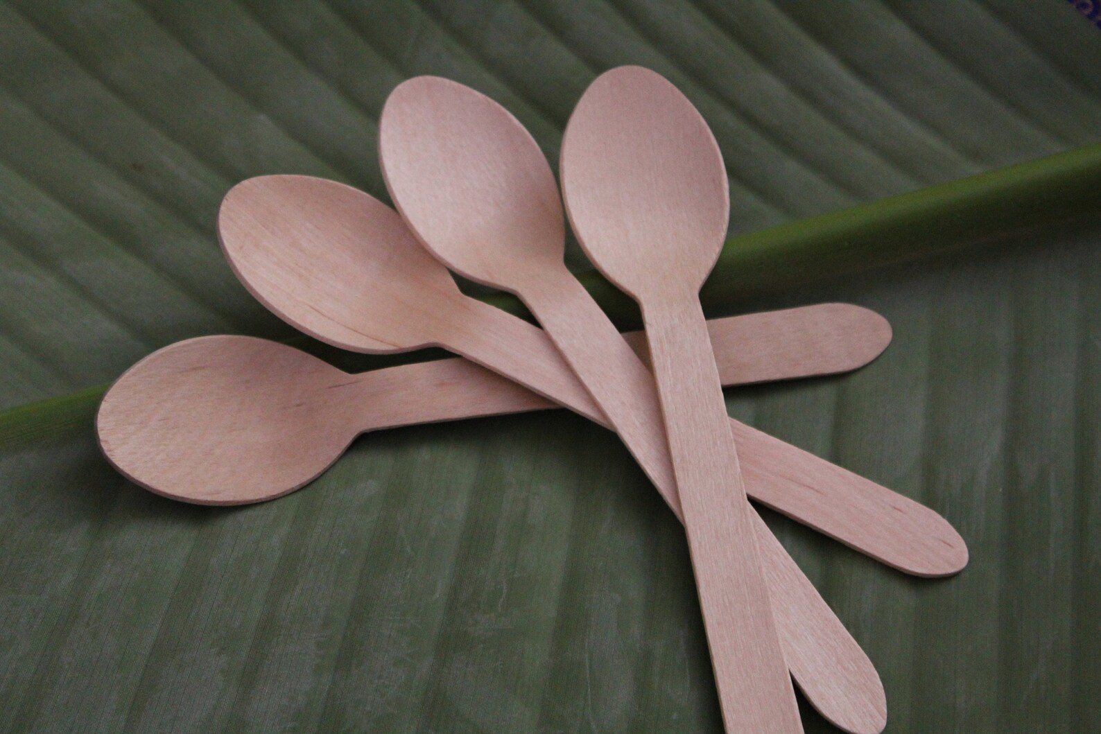(50 cái) Thìa Gỗ Dài 16cm Dùng 1 lần thân thiện môi trường