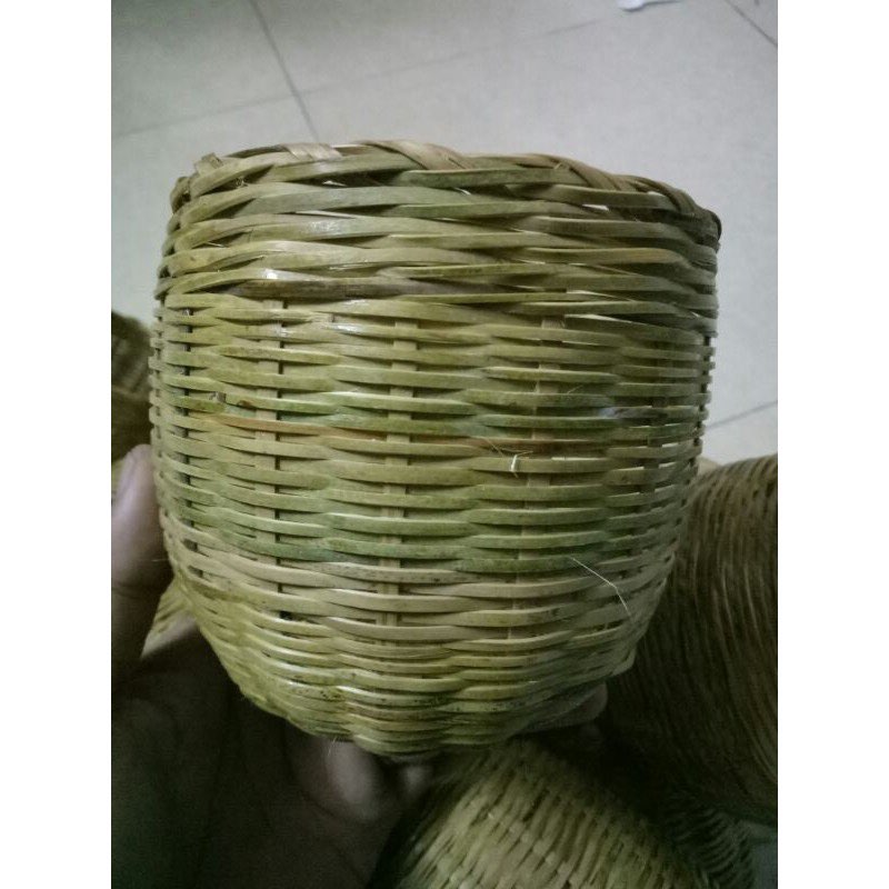 Tổ tre cho manh manh, bảy màu, yến hót, sắc nhật