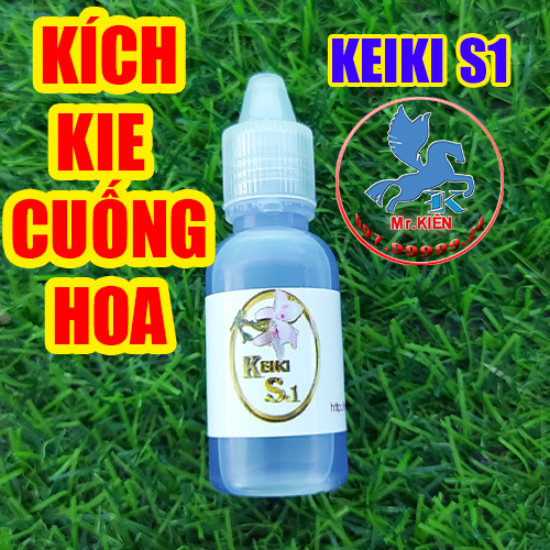 KÍCH KIE CUỐNG HOA PHONG LAN - KEIKI S1