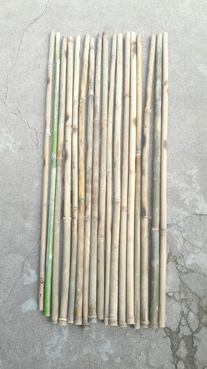 Combo 10 Cây trúc đường kính nhỏ dài 1m làm giàn