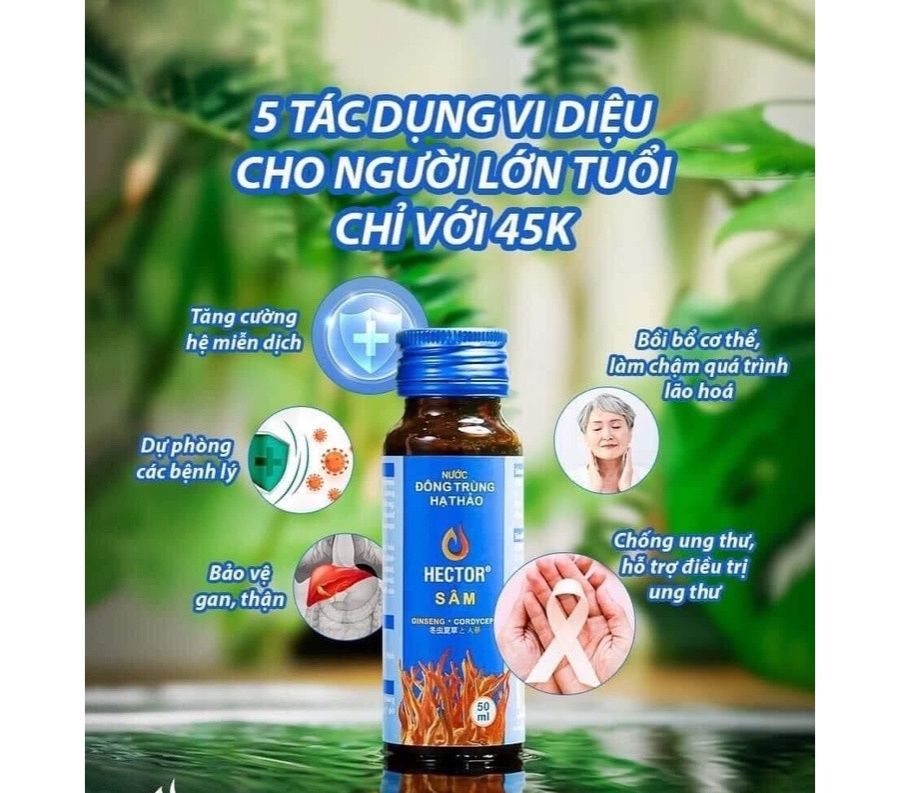 Nước đông trùng hạ thảo Hector Sâm bồi bổ sức khỏe collagen nước (Hộp 10 lọ) - Bibo Home