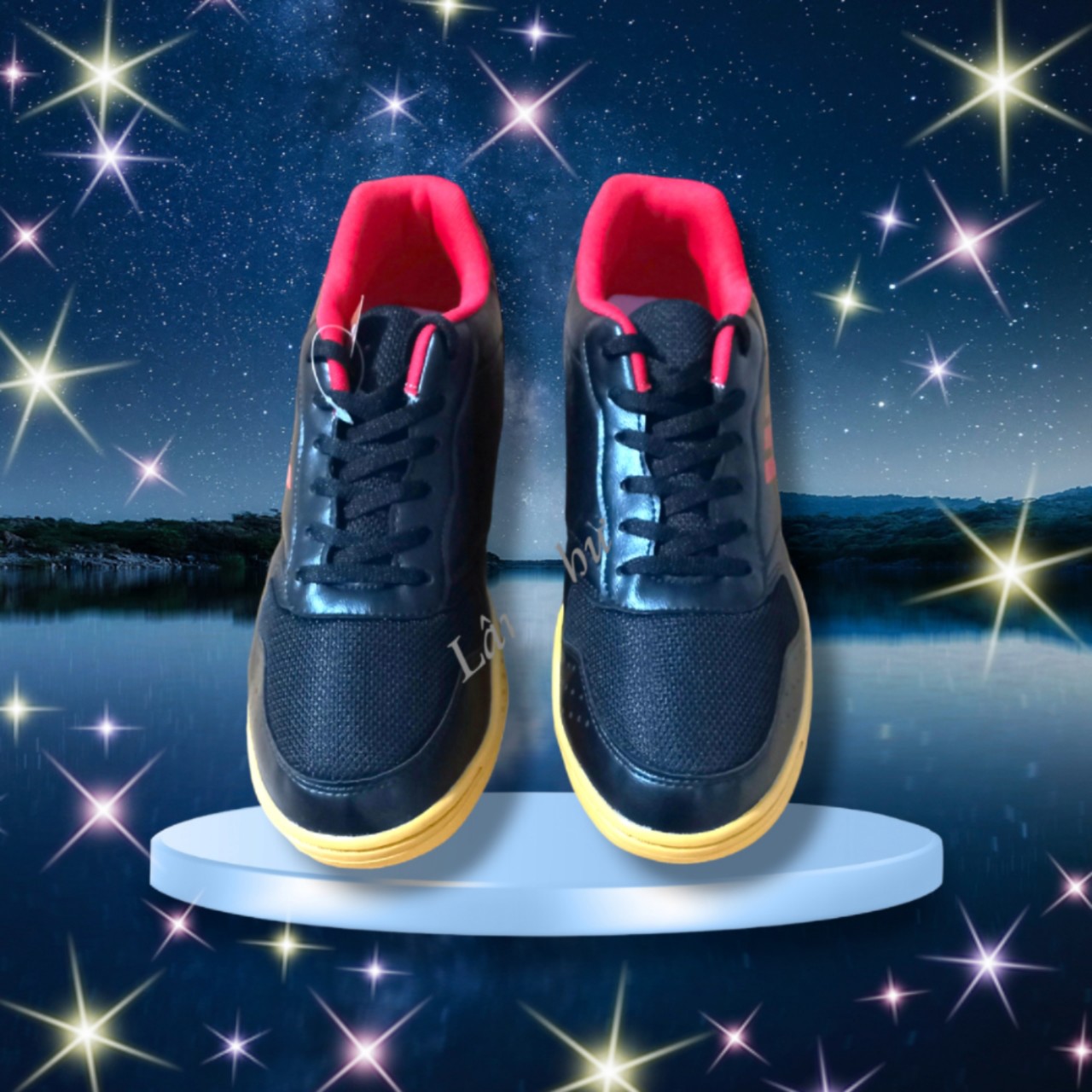 GIÀY ĐÁNH CẦU LÔNG ,GIÀY CẦU LÔNG CHÍNH HÃNG THƯƠNG HIỆU PROWIN