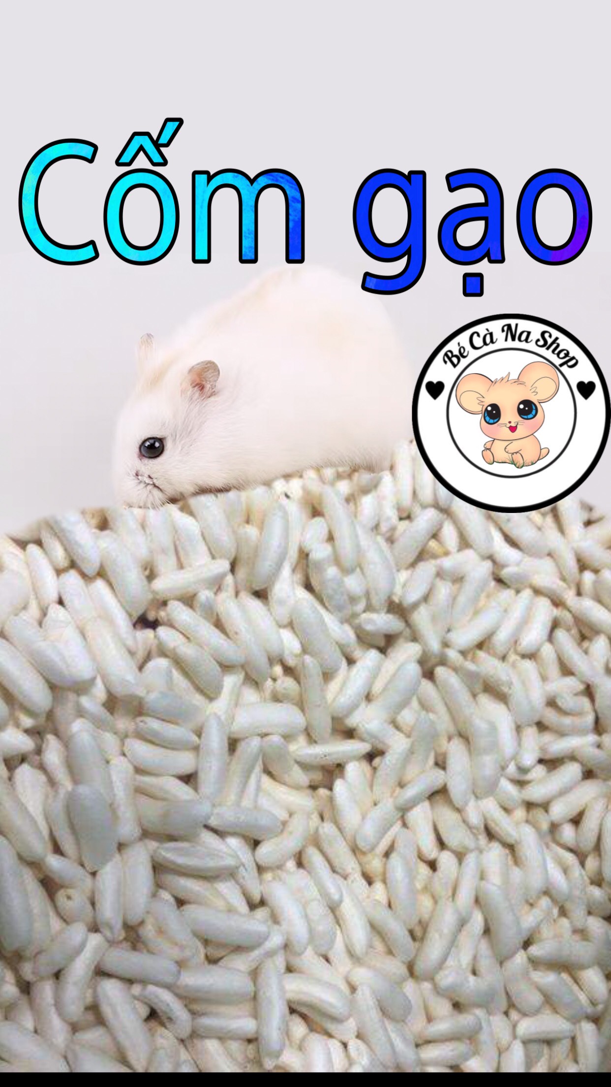 Cốm gạo , bỏng gạo cho hamster