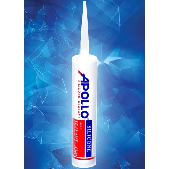Silicon Apollo