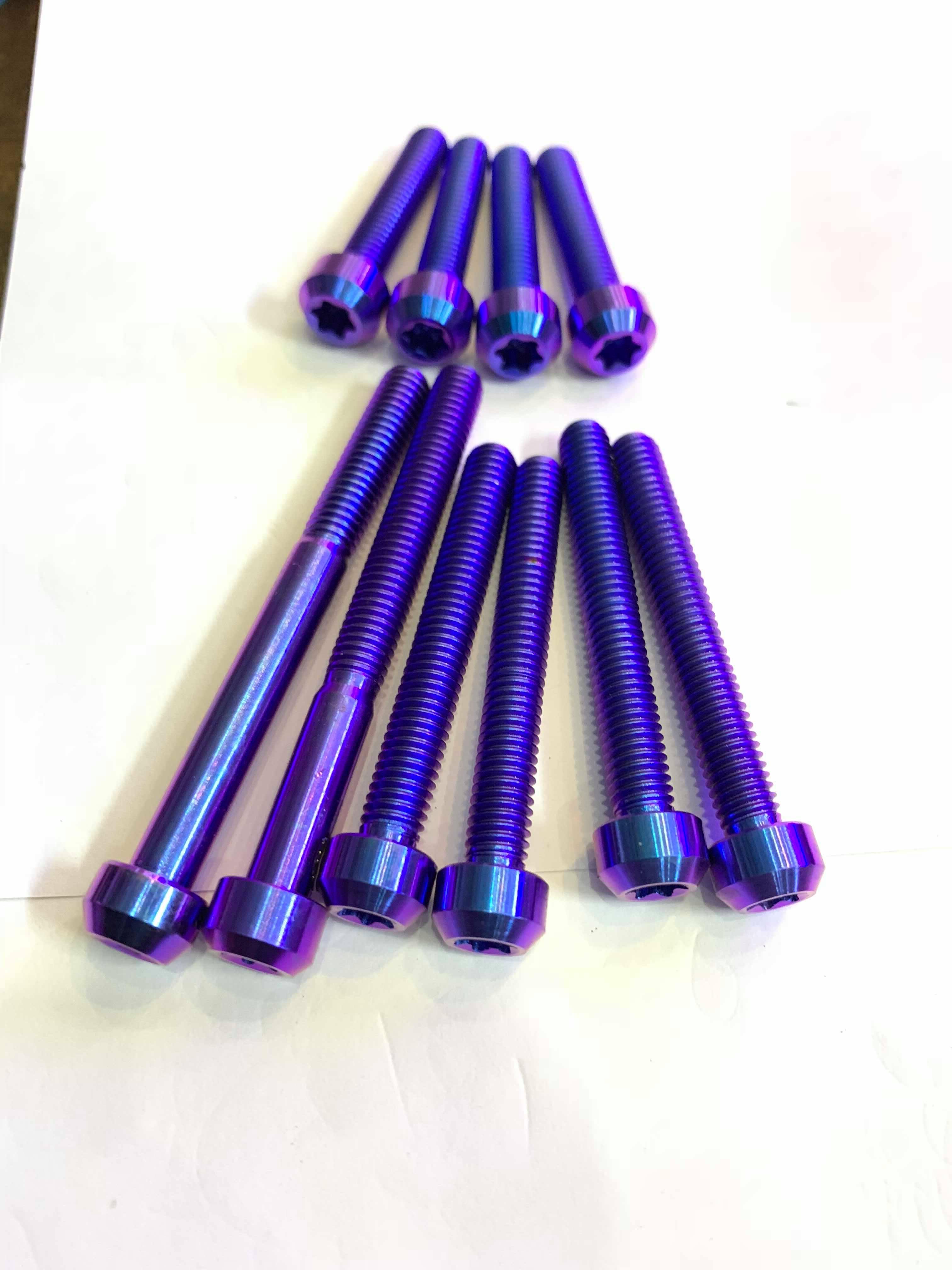 10 Con Ốc Lốc Máy Vario 2018 2019 Titan Gr5 Mẫu Đầu Trụ