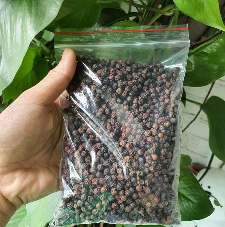 Tiêu đen Đăk Lăk