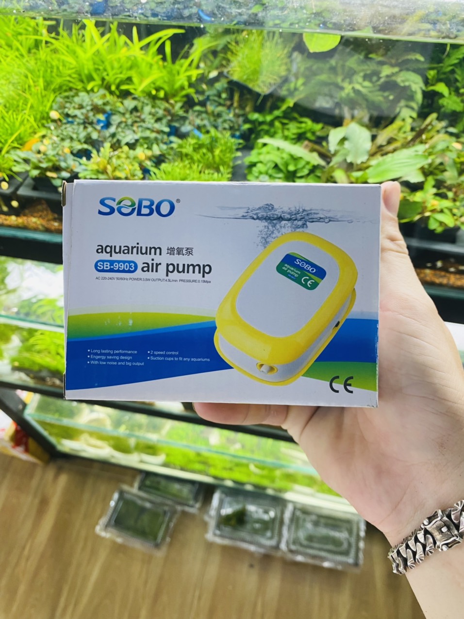 Máy sủi oxy sb 9903 1 vòi của sobo
