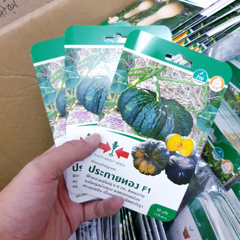 Hạt giống bí ngô da cóc East West Seed. 30 hạt/gói. Hàng nhập Thái Lan. Tỉ lệ nẩy mầm cao