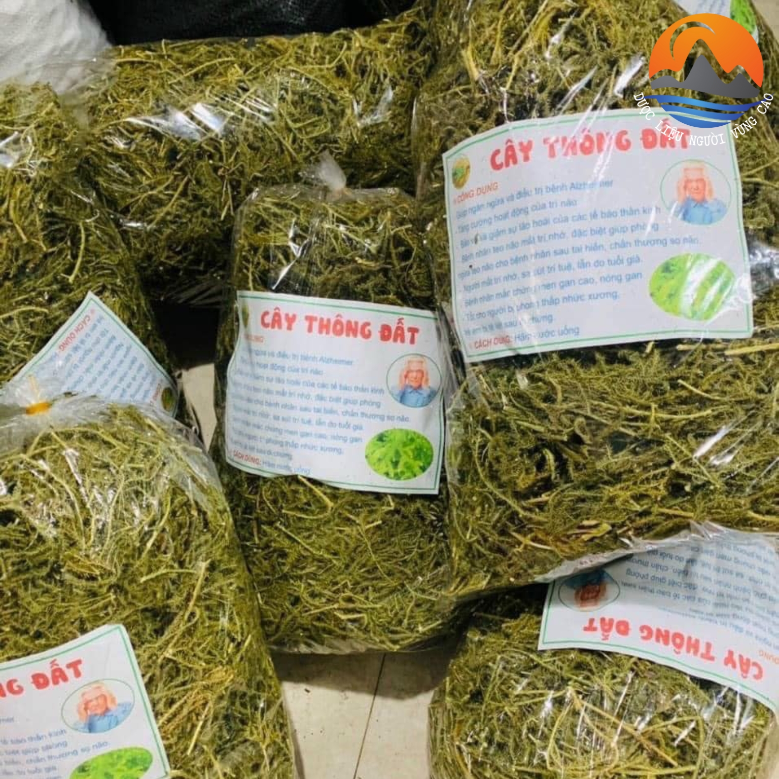 Thông đất khô, cây thông đất tốt cho người teo não, sa sút trí tuệ , thông đất khô sạch đẹp, hàng tốt