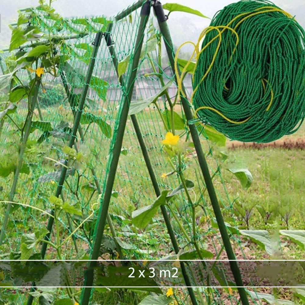 Lưới làm giàn - Lưới trồng dây leo 2x3m | Phởm's Market