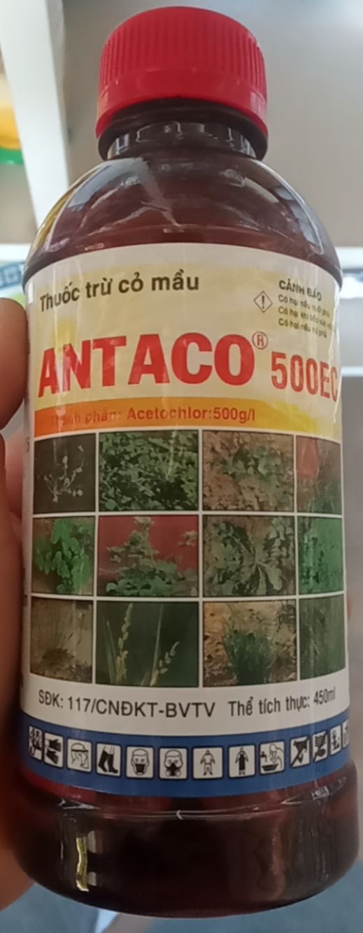 Thuốc trừ cỏ mầu - antaco 500ec - chai 450ml