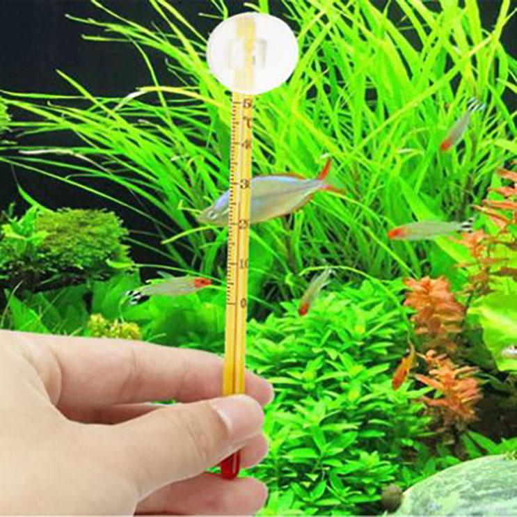 Nhiệt Kế Hồ Cá - Đo Nhiệt Độ Nước Hồ Cá