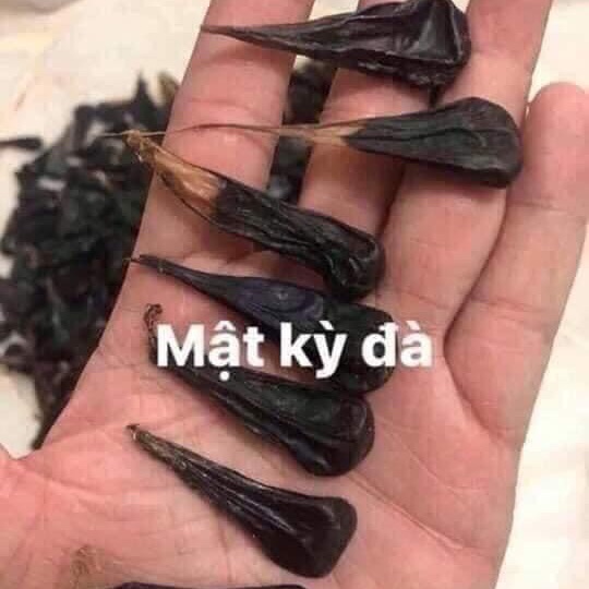 Mật kì đà khô