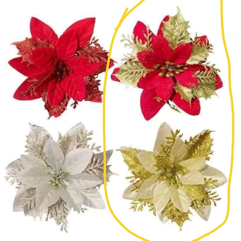 Combo hoa trạng nguyên điểm kim tuyến