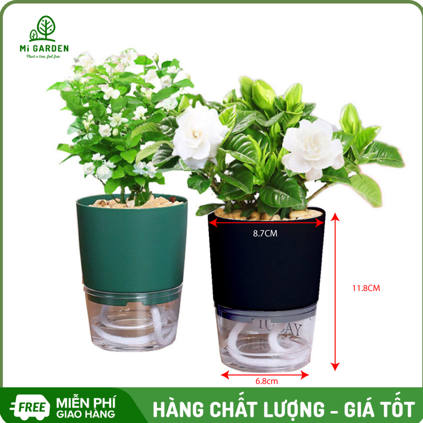 Chậu nhựa tự tưới Mi Garden V90, chậu có 2 lớp tự tưới giúp bạn trồng cây dễ dàng trong gia đình hoặc văn phòng, đặc biệt dành riêng cho các bạn không có nhiều thời gian chăm sóc cây, chậu đẹp và bền, dùng để bàn, bếp hoặc ban công đều được