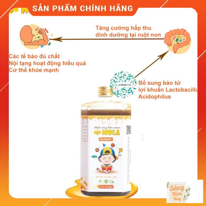 Mật ong lên men Mola chai 260gr Bổ sung lợi khuẩn hỗ trợ tiêu hóa làm đẹp da