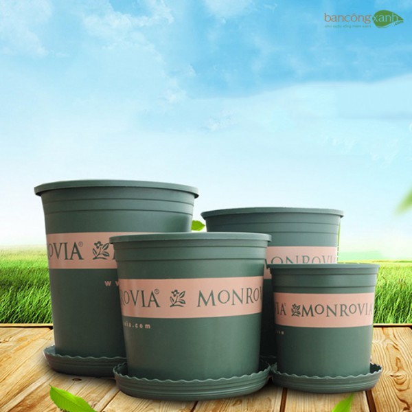 Bộ 10 chậu nhựa trồng cây cao cấp monrovia cỡ số 5 kèm đĩa lót đáy chậu trồng cây thông minh