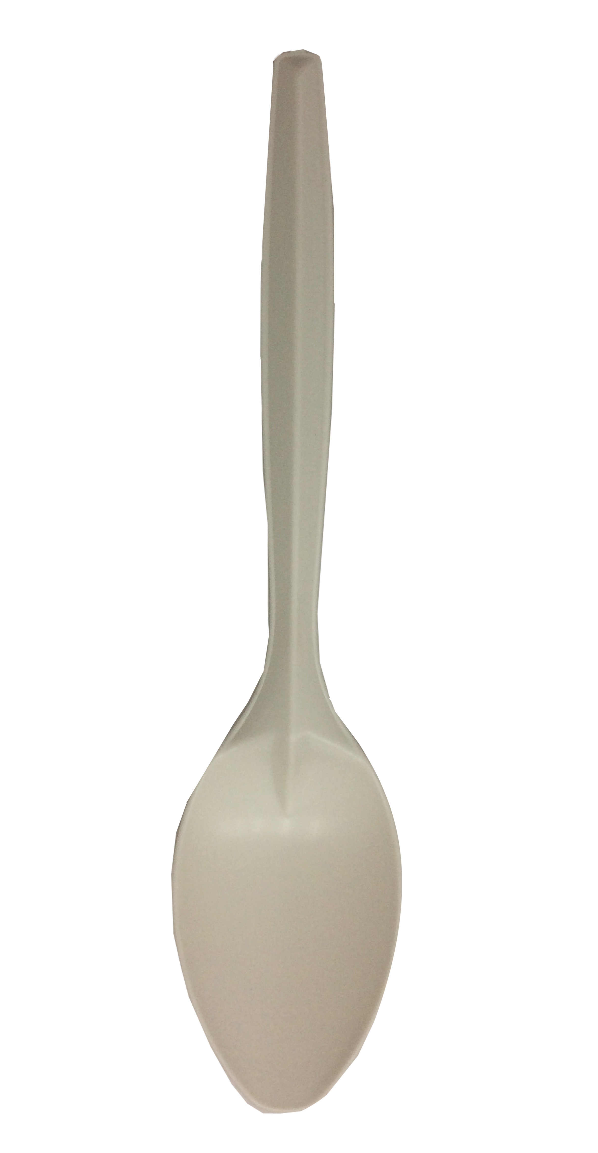 Spriing lốc 10 muỗng nhựa