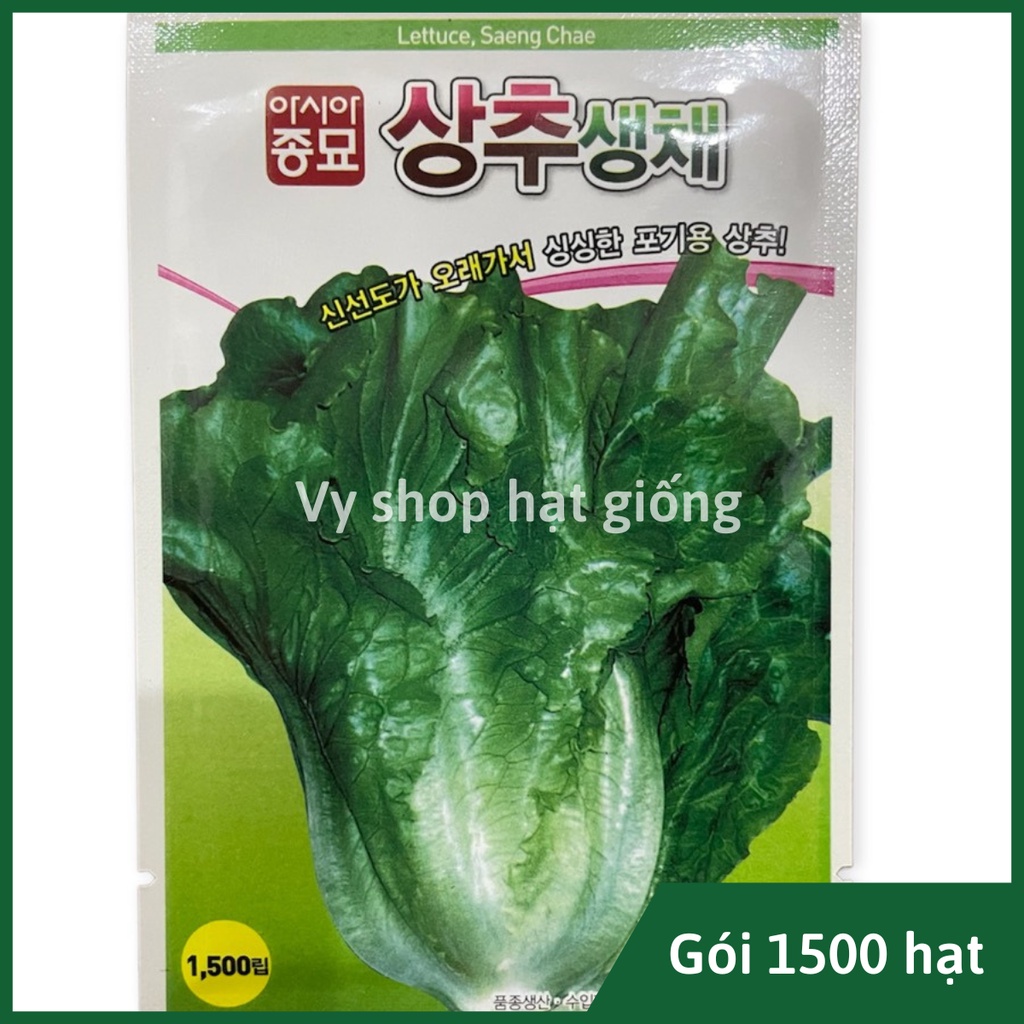 Hạt giống rau xà lách Sanchu Hàn Quốc chuẩn siêu giòn ngọt gói 1500 hạt