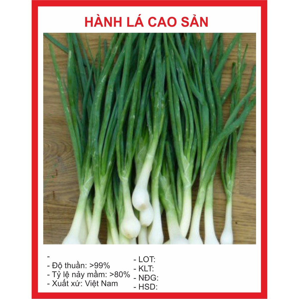 Hạt giống Hành Hoa 5Gram