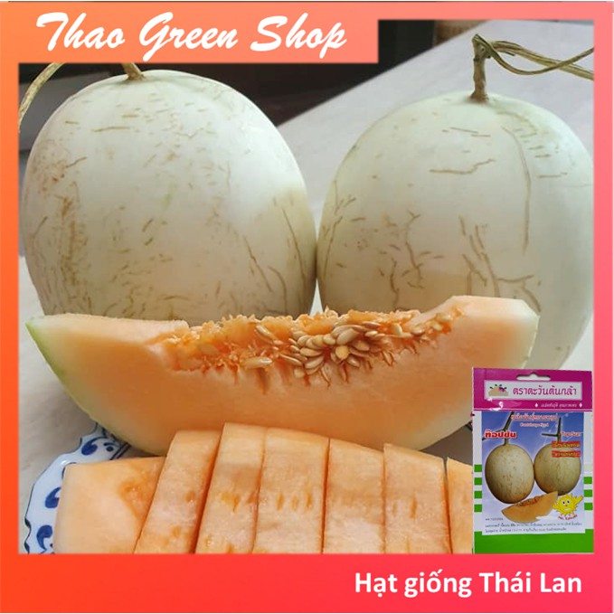 Dưa đỏ nữ thần mặt trời