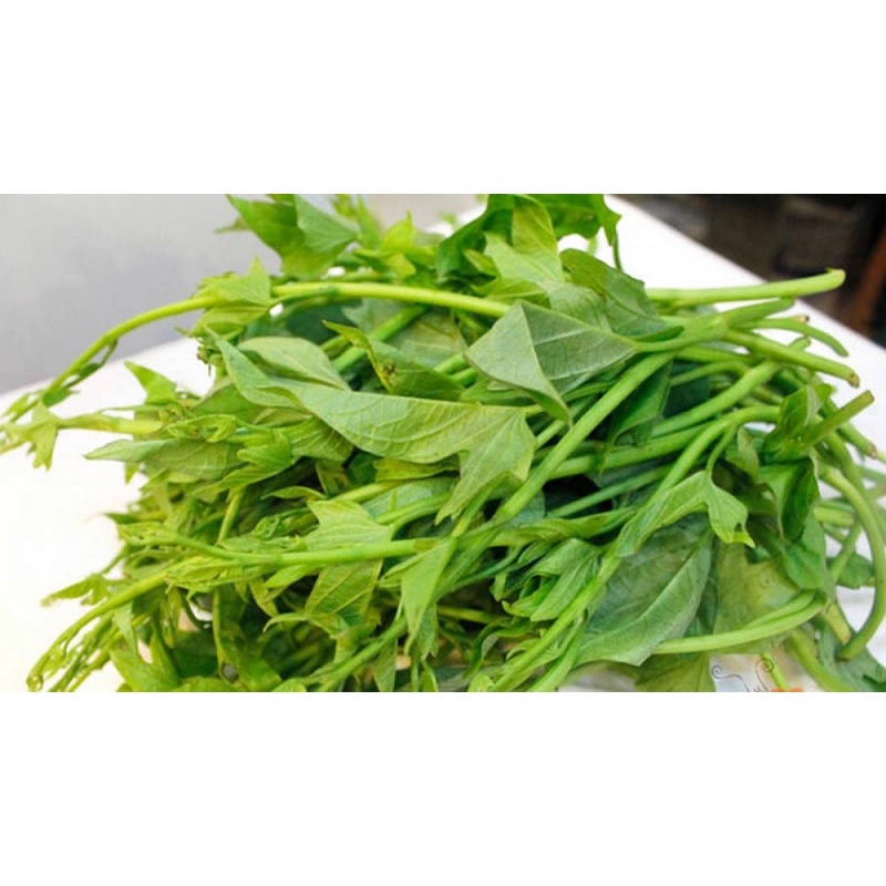 Dây khoai lang siêu ngọn #daykhoailangsieungon