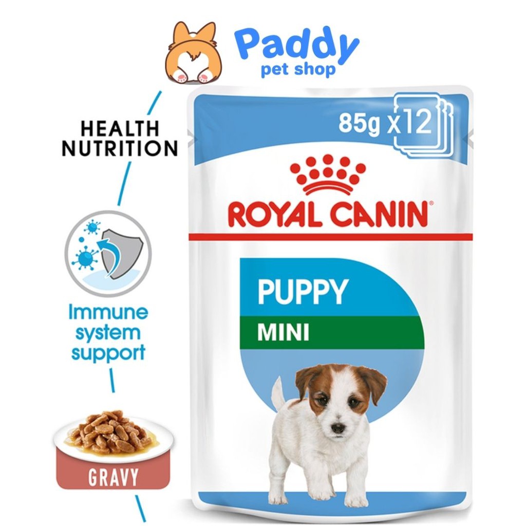 Pate cho chó con Royal Canin Mini Puppy