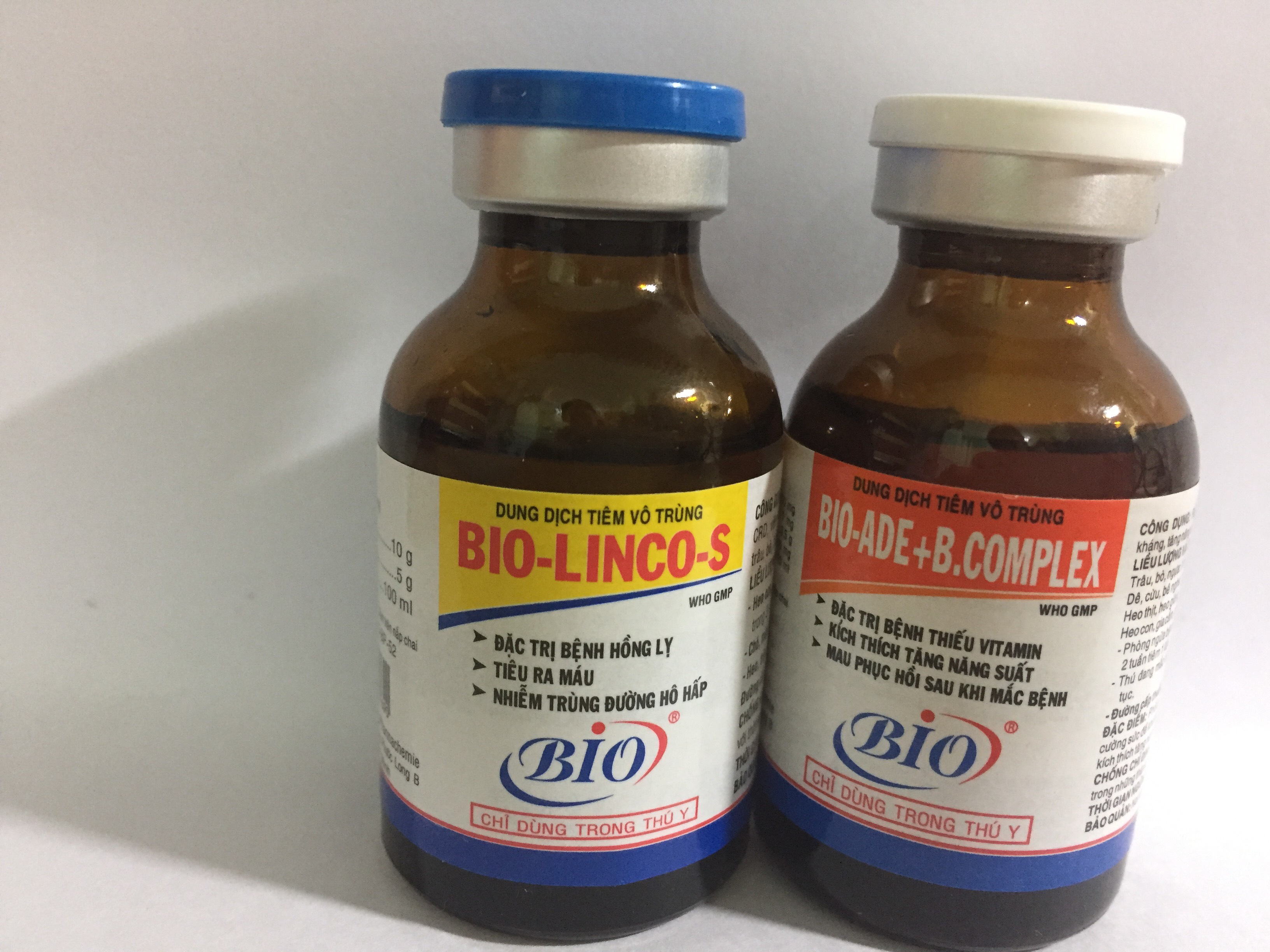 [HCM]Đặc trị chó mèo gà đá viêm đường hô hấp khò khè CRD