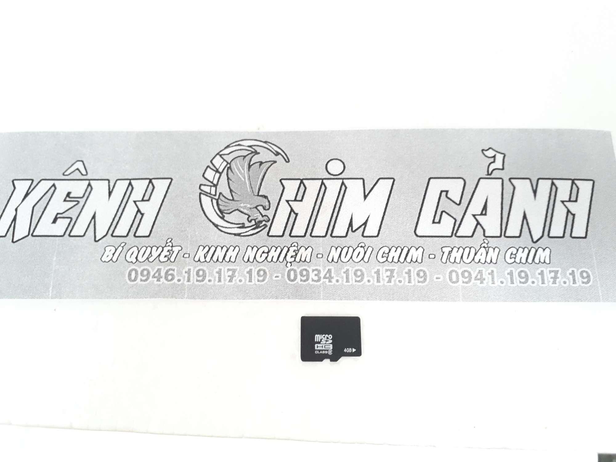 Giới thiệu review về 10 loài Chim hút mật nhỏ bé hót hay màu sắc tại K... |  TikTok