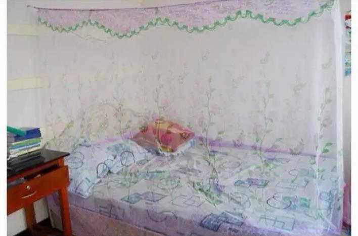Mùng ngủ màn tuyn hoa không cửa loại 1m2 x 1m9