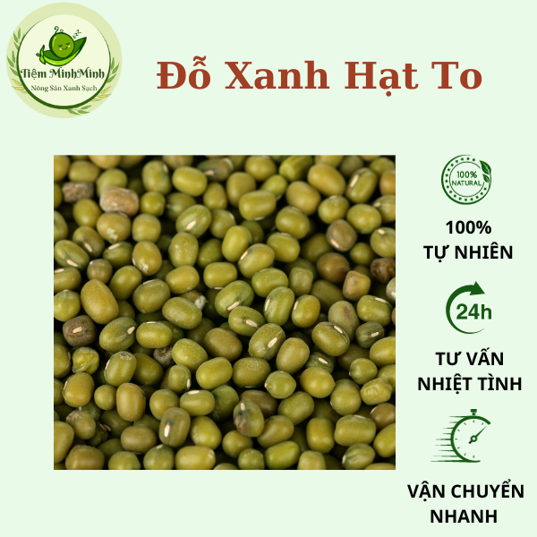 Đỗ xanh hạt to hữu cơ làm giá. làm rau mầm sữa hạt đóng túi 500gr-1kg
