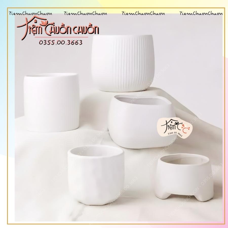 Set Chậu Trắng Pastel Trồng Cây - Chậu gốm sứ - tiêm chuồn chuồn - Gốm sứ Bát Tràng