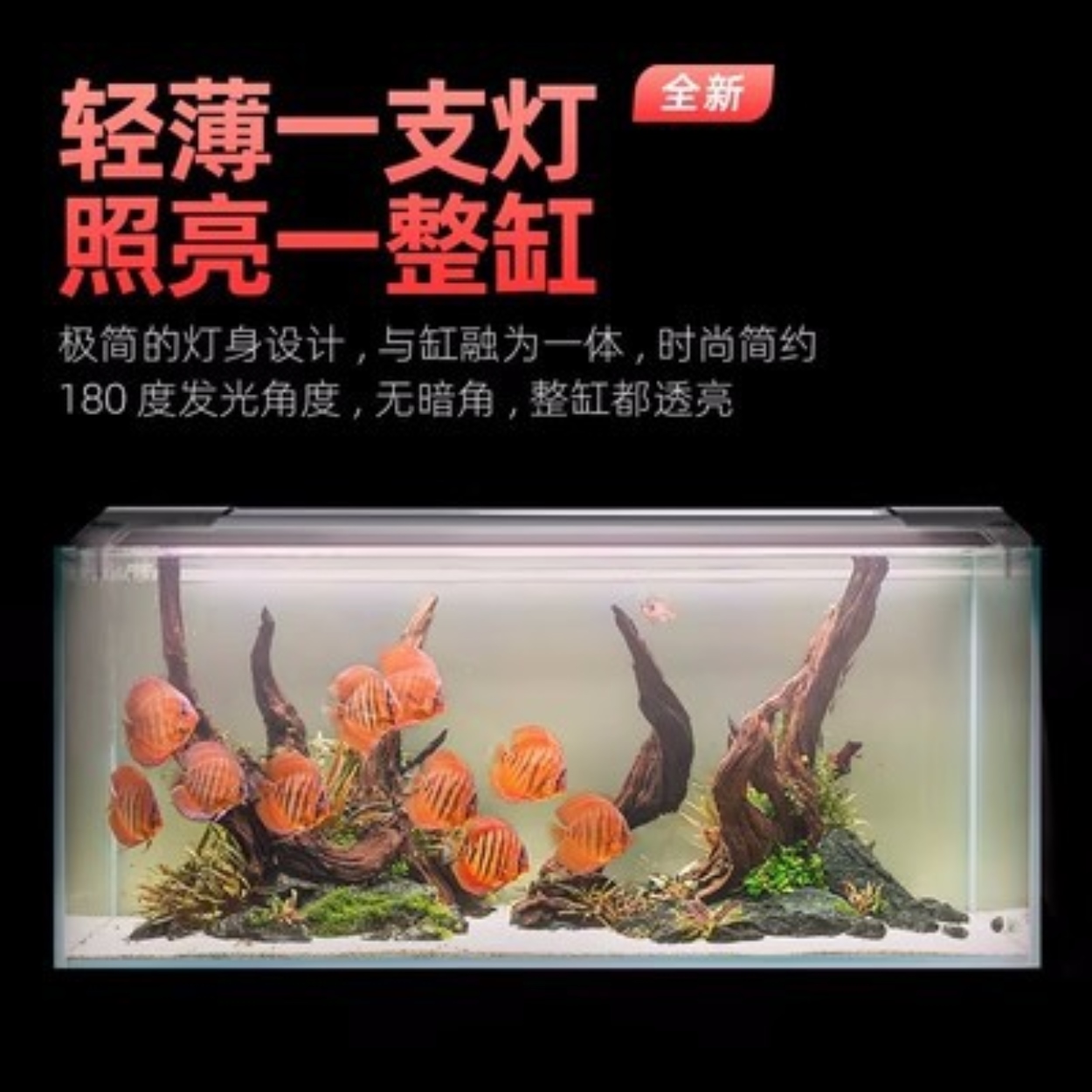 Đèn bể cá Jiyin Blade Z tăng sáng và đổi màu led chống nước vẹt rồng cá