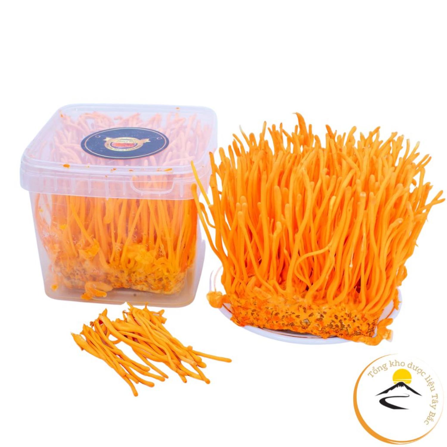 Đông trùng hạ thảo sấy khô thăng hoa nguyên đế, Nấm Đông trùng hạ thảo ngâm rượυ, ngâm thuốᴄ khô Huy Cương thượng hạng