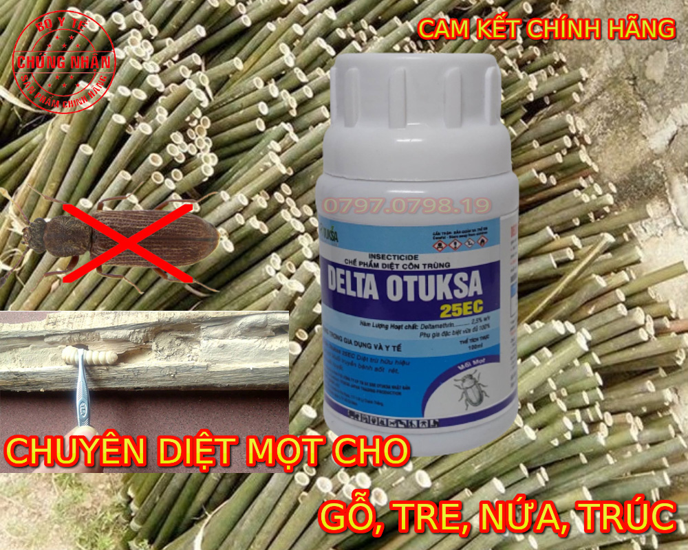Delta otuksa 25ec - 100ml - thuốc diệt mọt cho tre, nứa, trúc - diệt mọt tại nhà