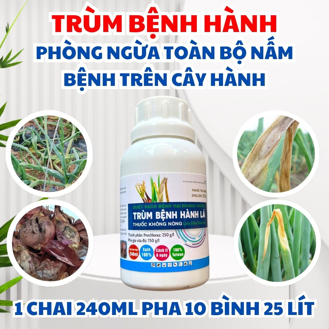 TRÙM BỆNH HÀNH LÁ - DAILORA 25EC - KIỂM SOÁT NẤM BỆNH TRÊN HÀNH - KHÔ ĐẦU LÁ HÀNH - ĐỐM VÒNG HÀNH LÁ - THỐI CỦ HÀNH TÍM