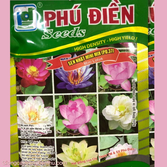 Hạt giống hoa sen nhật mini mix