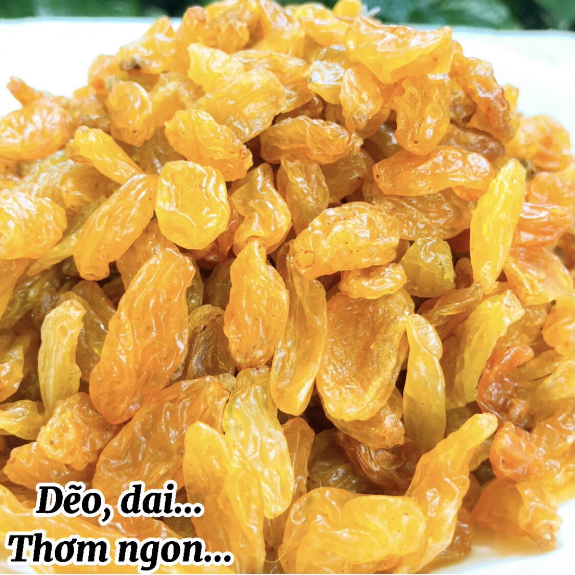 Nho khô vàng Ấn Độ 500gram, mứt nho vàng sấy khô