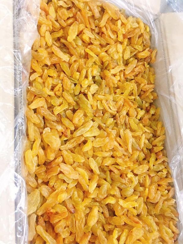 Nho khô vàng ấn độ 500gr