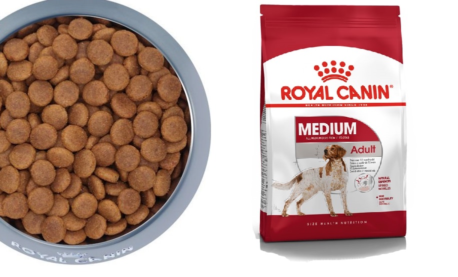 Hạt khô Royal Canin Medium Puppy / Medium Adult 10kg